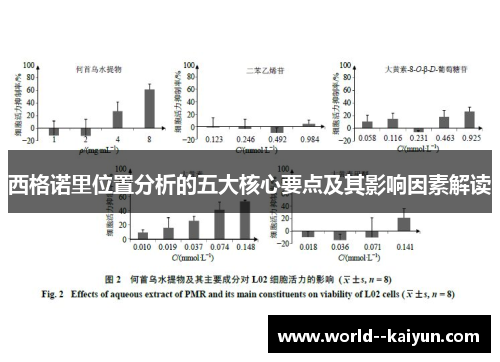 西格诺里位置分析的五大核心要点及其影响因素解读