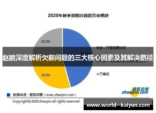 赵鹏深度解析欠薪问题的三大核心因素及其解决路径 赵鹏深度解析欠薪问题的三大核心因素及其解决路径